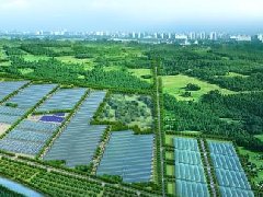 外企總部紛紛落戶 北京經開區“兩區”建設提速