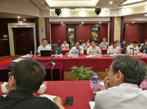 “大湖名城、創新高地”——安徽合肥廬江高新區創建國家高新區專家咨詢座談會圓滿召開