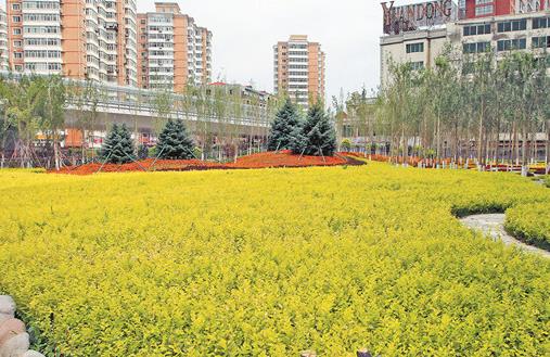 道外打造“三區(qū)一帶”推動區(qū)域經(jīng)濟(jì)發(fā)展