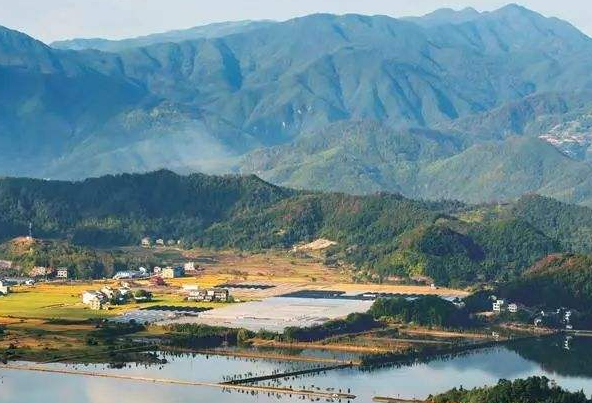 厲以寧：中國深化改革要依靠農業和農民