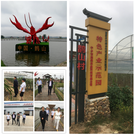 我院助力大成橋鎮(zhèn)爭(zhēng)創(chuàng)全國(guó)鄉(xiāng)村治理示范鎮(zhèn)