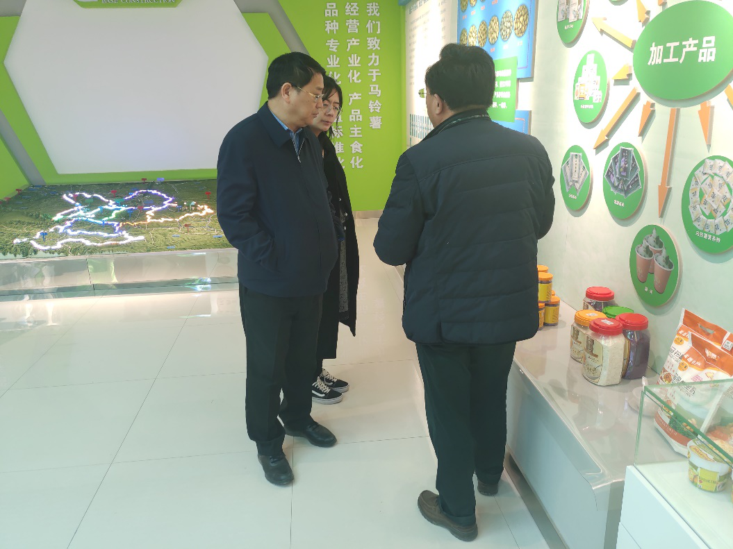 “中國(guó)薯都”再奏新旋律，定西市安定區(qū)開啟馬鈴薯產(chǎn)業(yè)發(fā)展新篇章