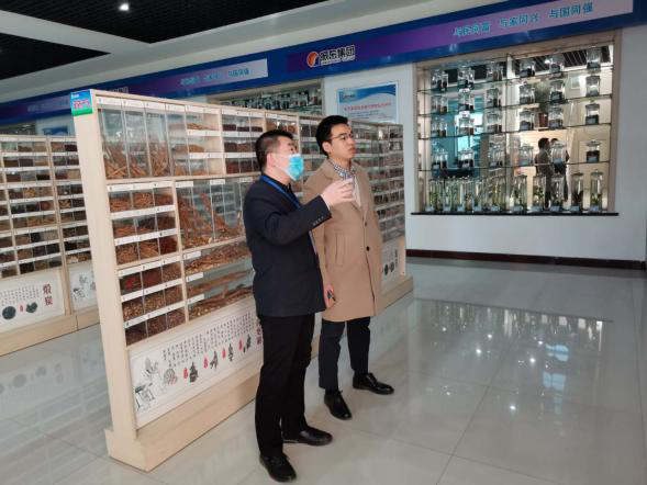 依托潞黨參和連翹兩大優(yōu)質特色中藥材，平順縣向國家現代農業(yè)產業(yè)園邁進