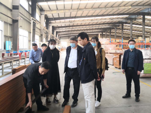 竹青筍香“桃花江”，現代農業吐芬芳