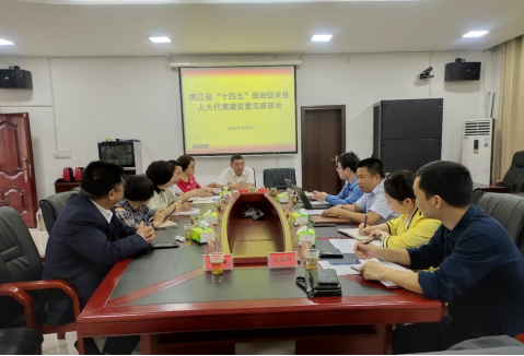 推動科學跨越、建設生態桃江，謀篇布局“十四五”