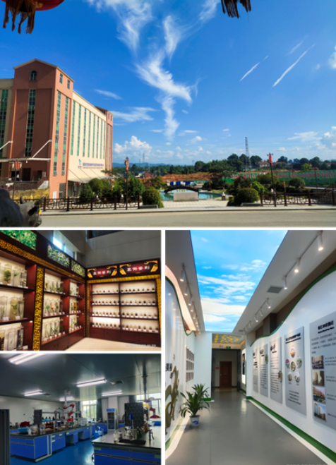 創建省級高新區，鶴城工業集中區邁入高質量發展快車道