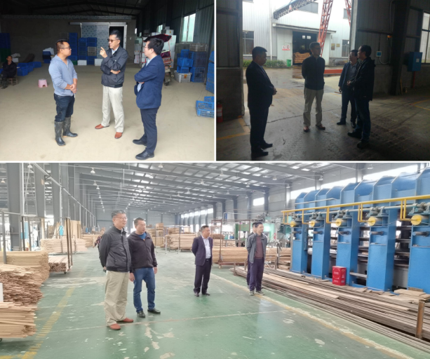 集聚頭腦風暴，為高質(zhì)量編制桃江“十四五”規(guī)劃建言獻策