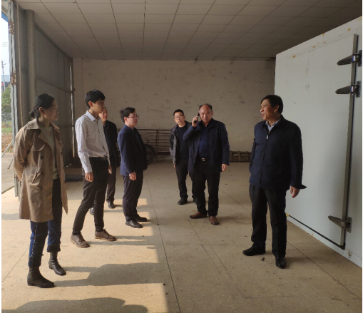 黃花菜里定乾坤，祁東縣全力爭創國家現代農業產業園