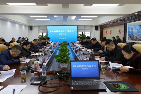 湘雁輸變電產業服務中心在長沙成立，湖南輸變電產業開啟發展新篇章