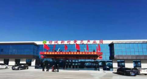 大同黃花，忘憂云州——云州區積極申創國家農業現代化示范區