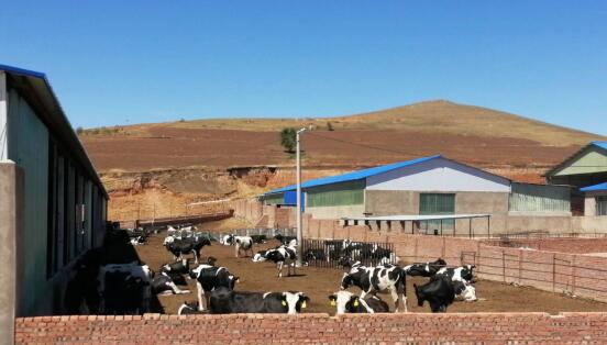 科右前旗農(nóng)業(yè)現(xiàn)代化示范區(qū)創(chuàng)建按下“加速鍵”，吹響“集結(jié)號”