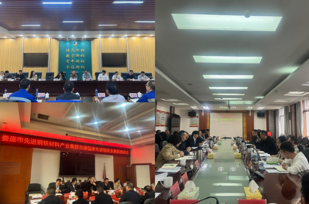 高新院走入湖南鋼鐵——以先進制造業(yè)集群撬動“新質生產力”支點