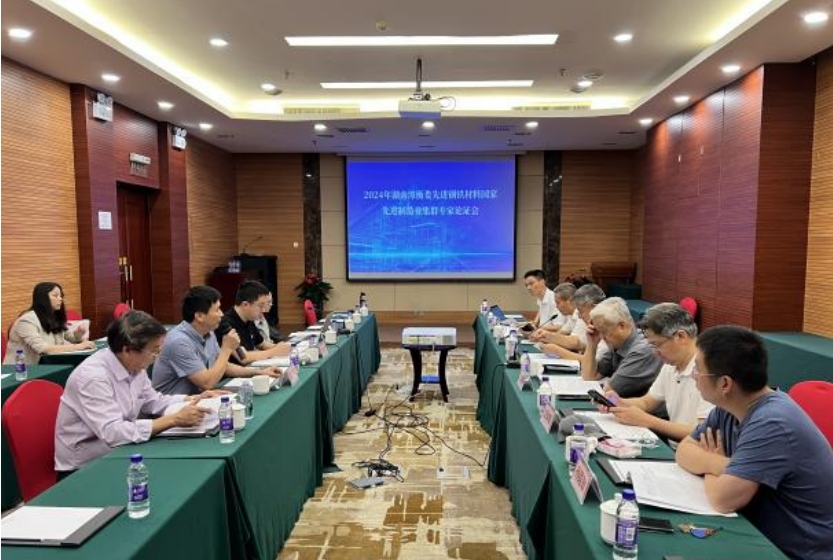 《培育發展湘潭市、婁底市、衡陽市先進鋼鐵材料集群實施方案》獲專家高度評